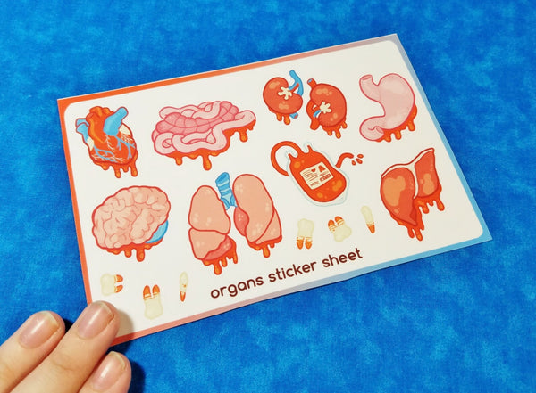 Organs Sticker Sheet